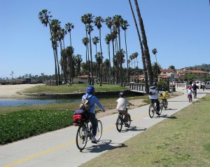 Tesla Electric Bike Family