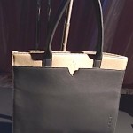 Tesla Branded Lifestyle Goods (Leather Tote)