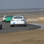 Green Back Shots 4723