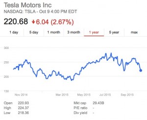 Wild TSLA Stock