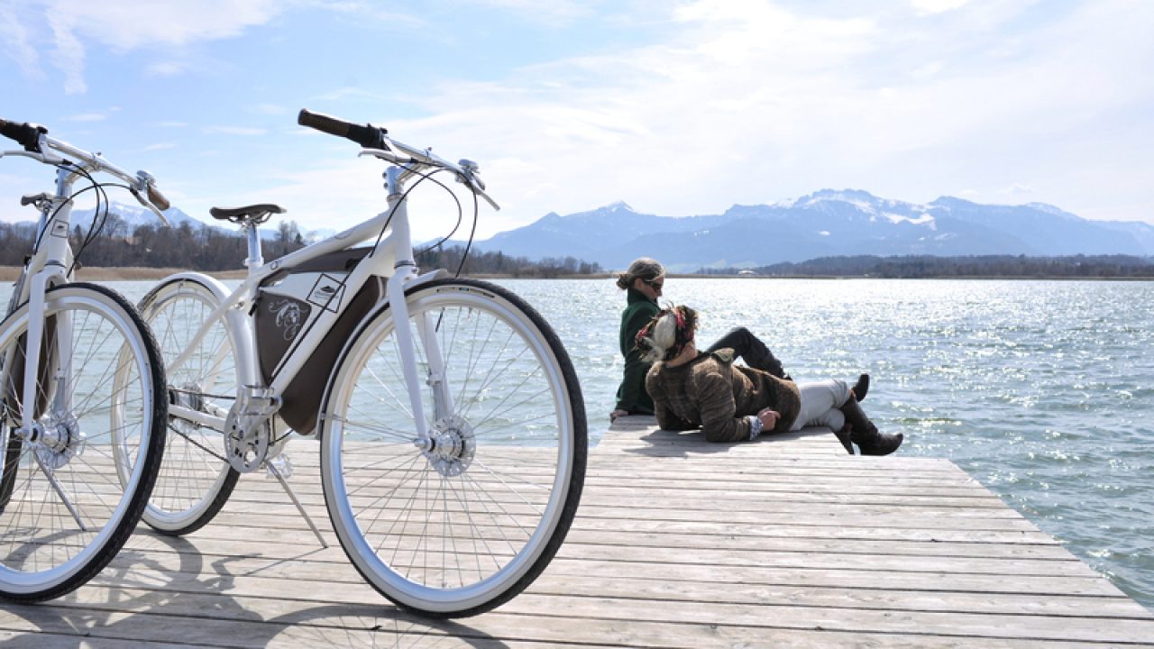 tesla of electric bikes
