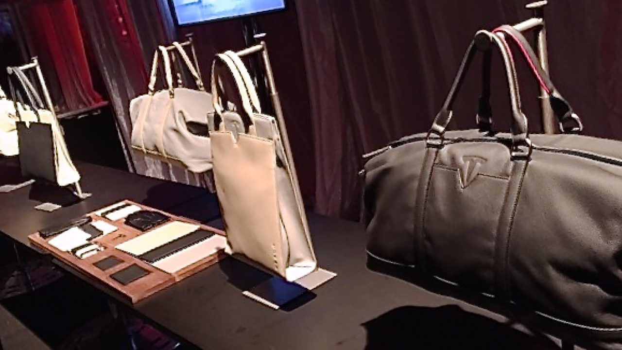 tesla carry on luggage