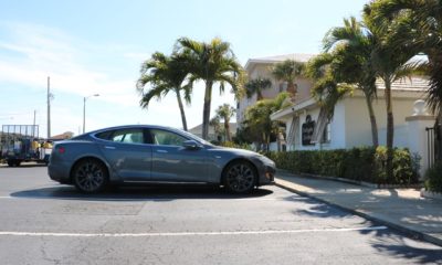 Tesla Model S and palm trees