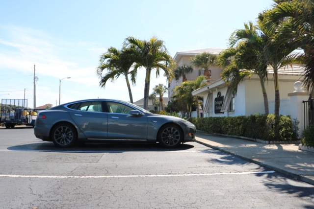 Tesla Model S and palm trees