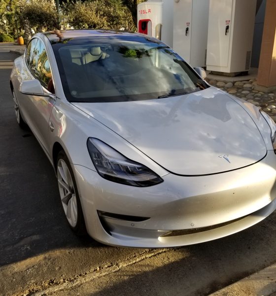 Model 3 stock spike