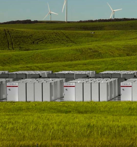 Musk Australia
