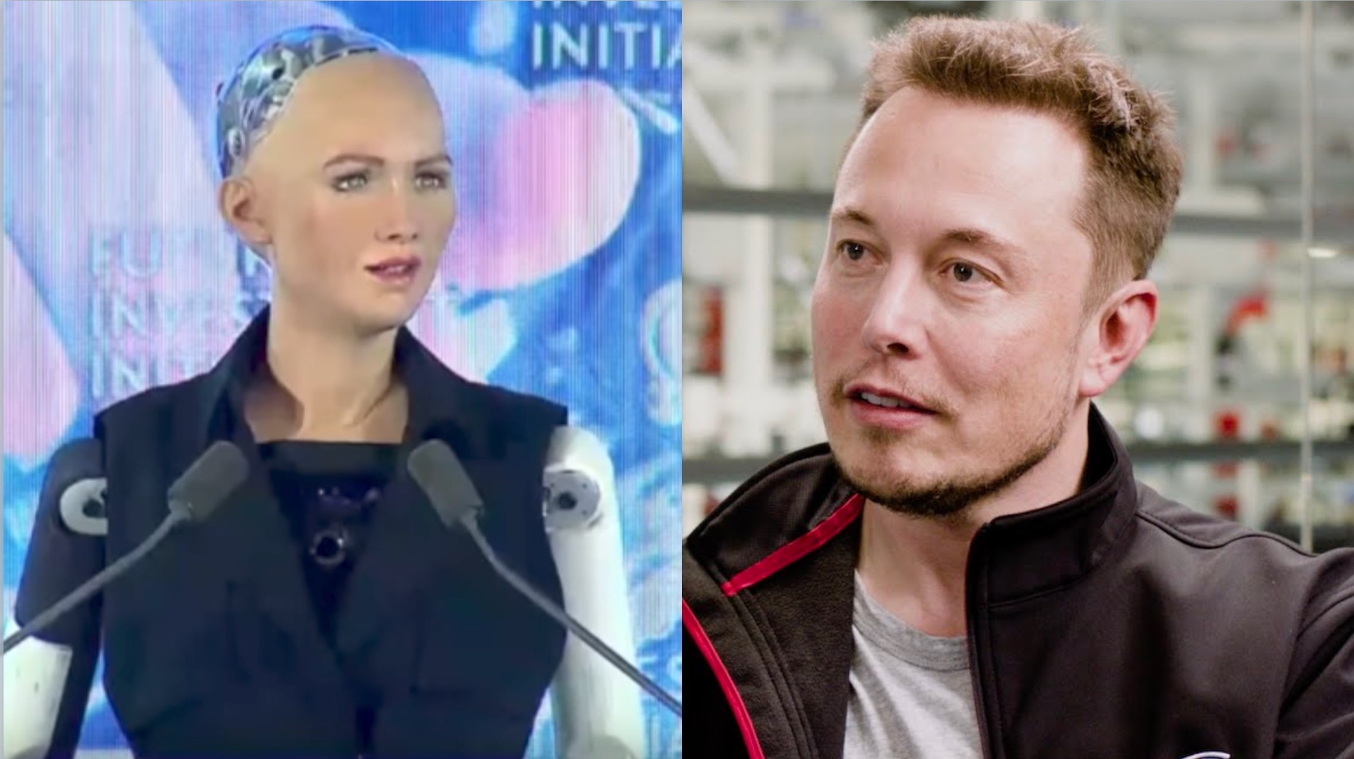 Tredje Hound basen Humanlike AI robot 'Sophia' calls out Elon Musk during live interview