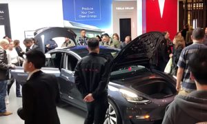 tesla interest