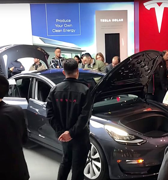 tesla interest