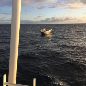 first successful fairing recovery 1 (Elon Musk)