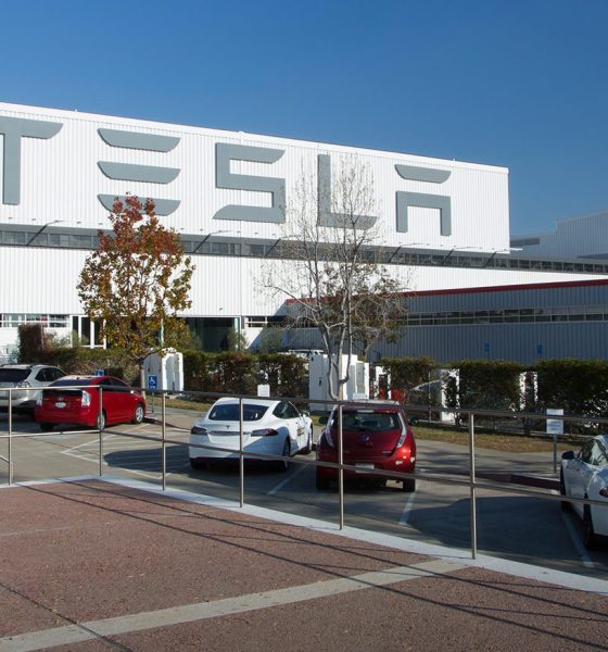 tesla fremont factory in northern california where the model 3 and model y are manufactured