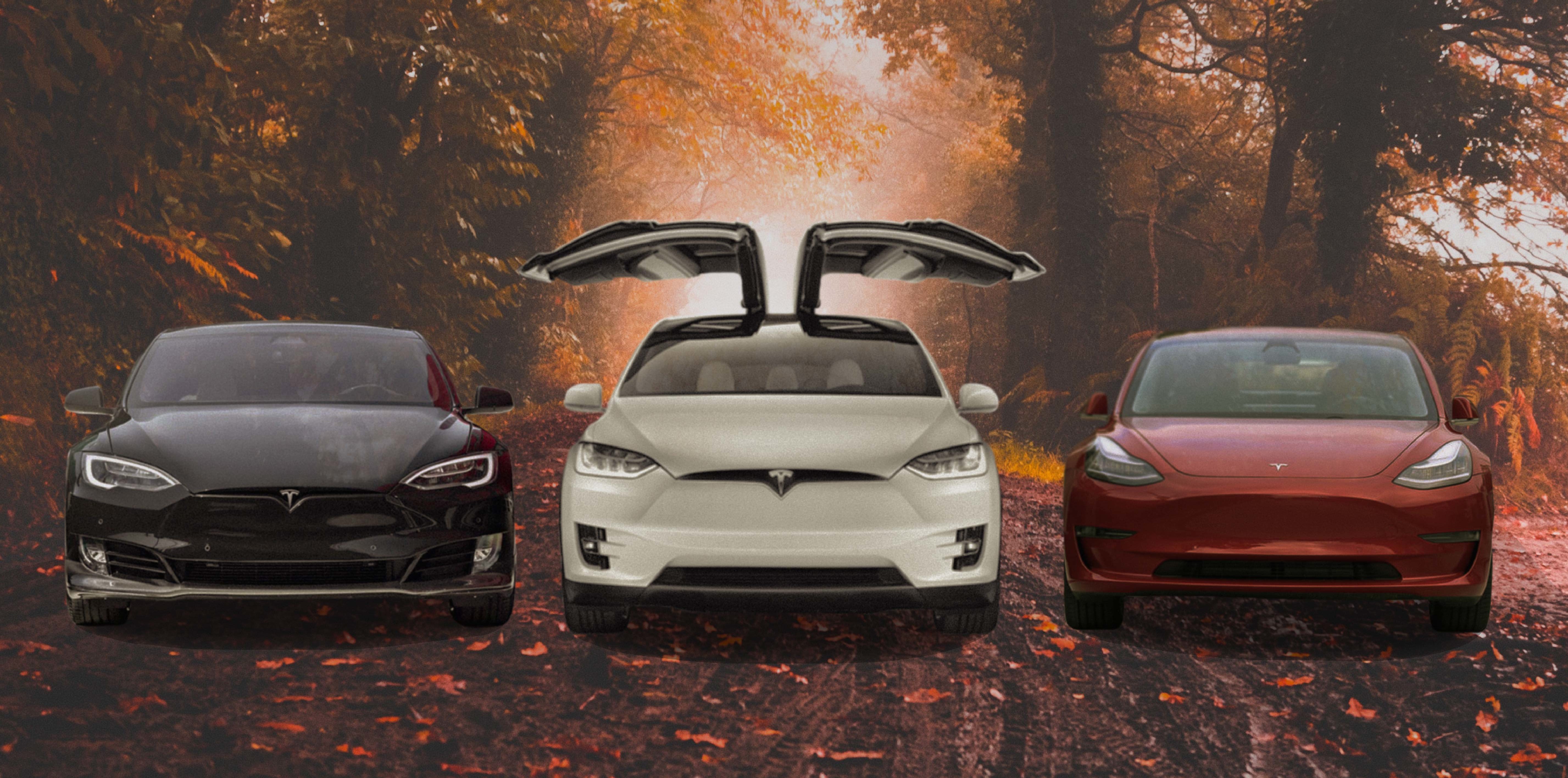 Autumnal 3 Teslas Banner Ad no text 10.17.2018