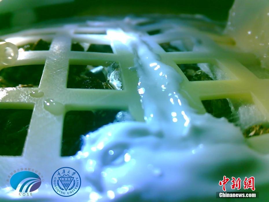 China-moon_cotton-sprout_2