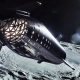 A steel Starship soars around the Moon in this official render. (SpaceX)