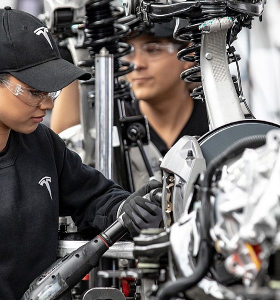 tesla employee
