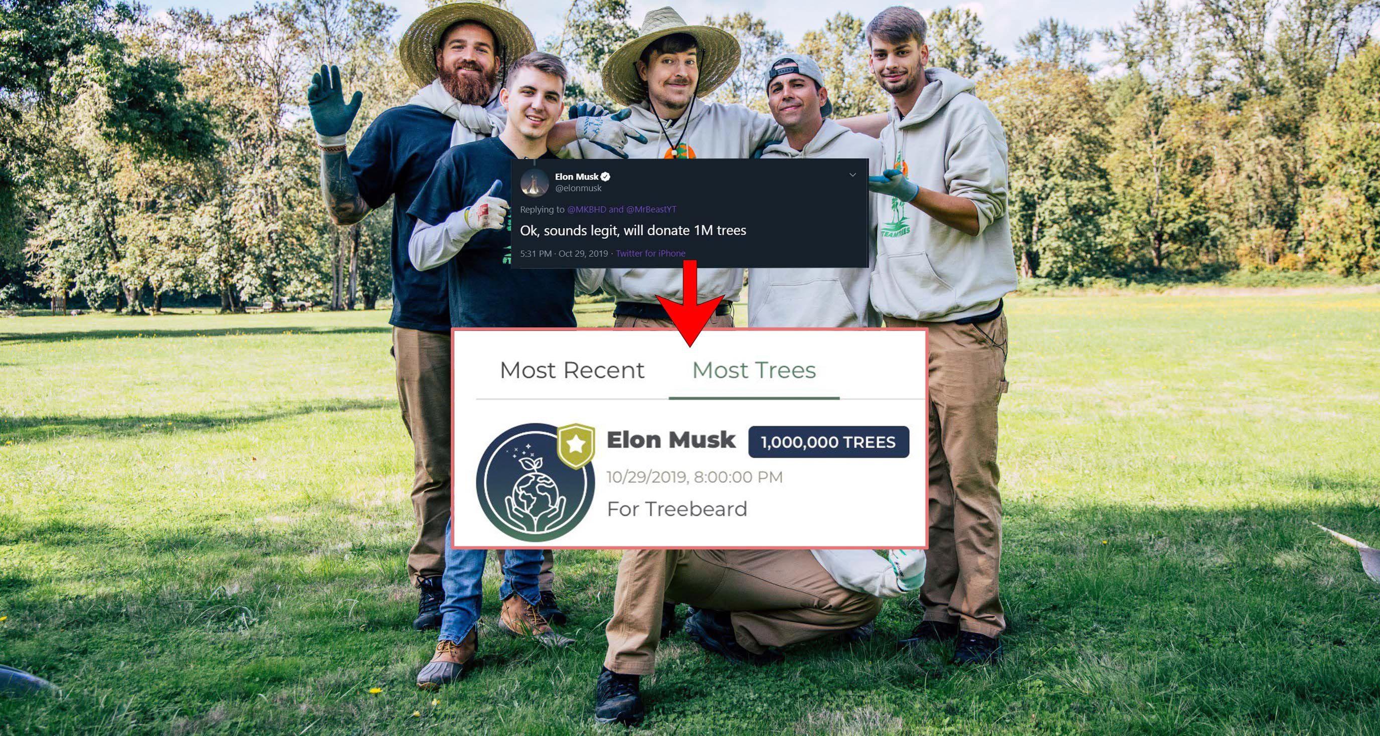 Elon Musk pledges $1 million to #TeamTrees tree-planting initiative