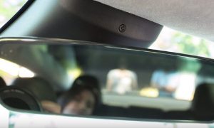 tesla cabin facing camera