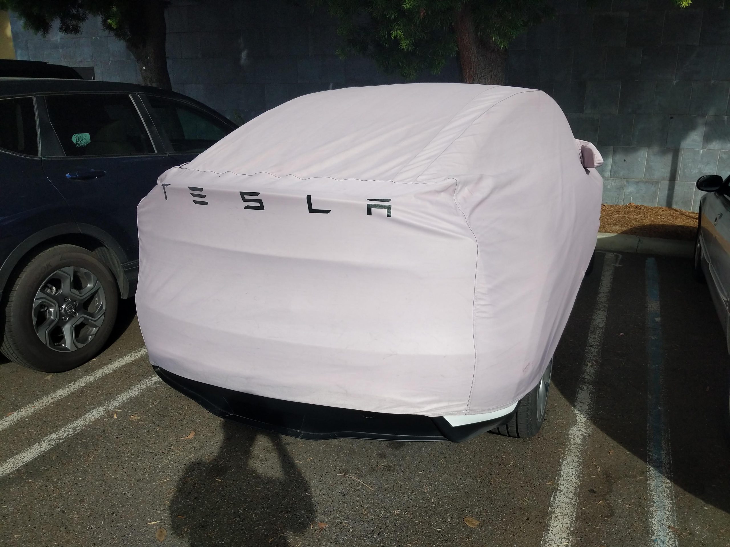 The Tesla Model Y Is Sized Just Right And This Will Help It