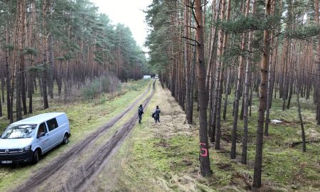 Tesla forest site of Gigafactory 4 in Berlin