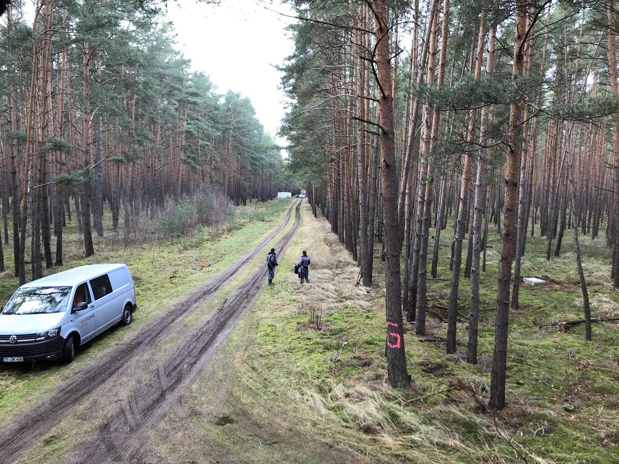 Tesla forest site of Gigafactory 4 in Berlin