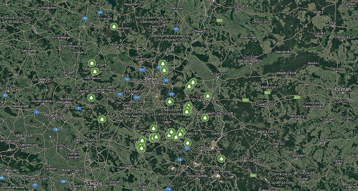 tesla-giga-berlin-replanting-trees-locations-specific