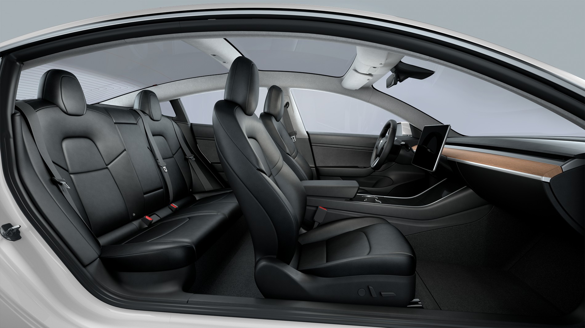 2025 Tesla Model Y Performance Interior Jacob M Beaver