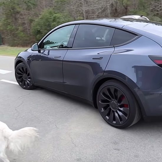 Tesla Model Y Battery range, specs, features, what we know so far