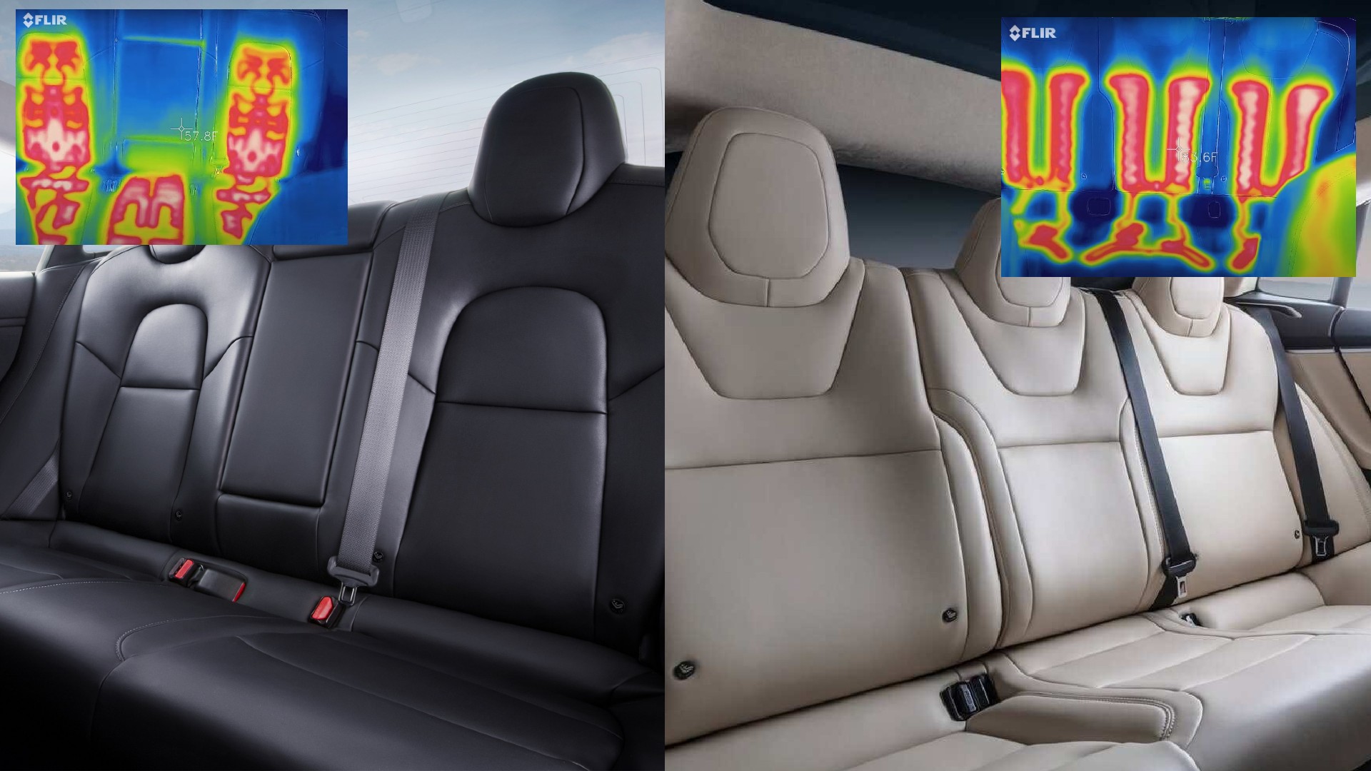 Tesla Model Y vs Model S heated seats: Thermal imaging temperature test