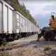 Tesla's trains at the Giga Berlin site. The trains will transport gravel to the site, allowing for the installation of temporary construction roads.