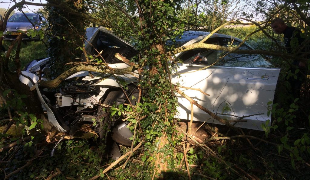 photo of Tesla owner crashes head-on with tree, wishes Autopilot was on image