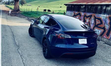 Tesla Model Y (Photo: Teslarati)