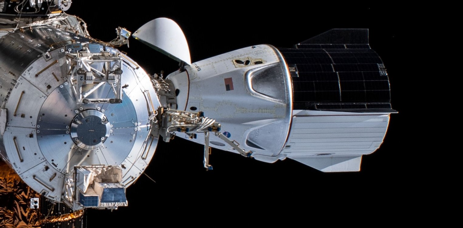 SpaceX Crew Dragon C206 Demo-2 ISS spacewalk 070120 (NASA) 3 crop 1