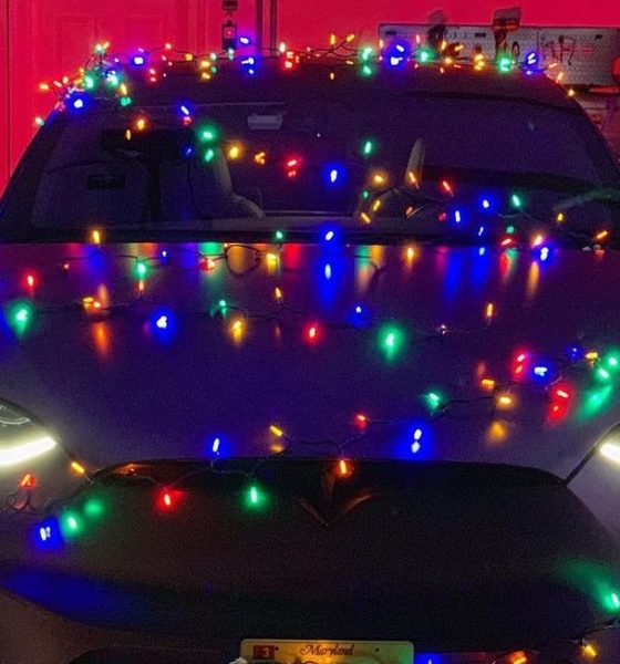 tesla holiday software