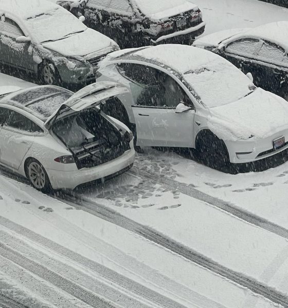 Tesla Mobile Service
