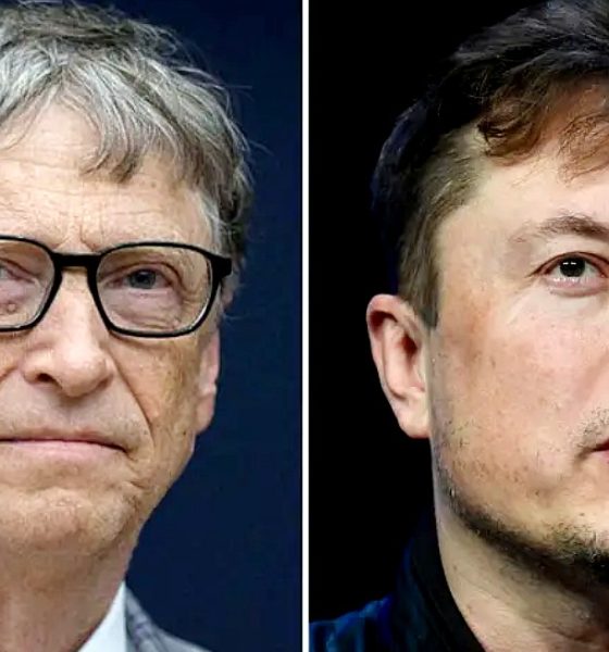 bill gates elon musk