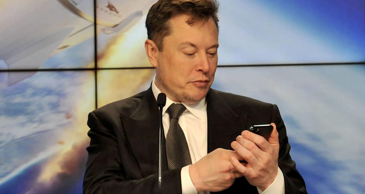 Elon Musk's X: Is This The End of Twitter? - Rock Content