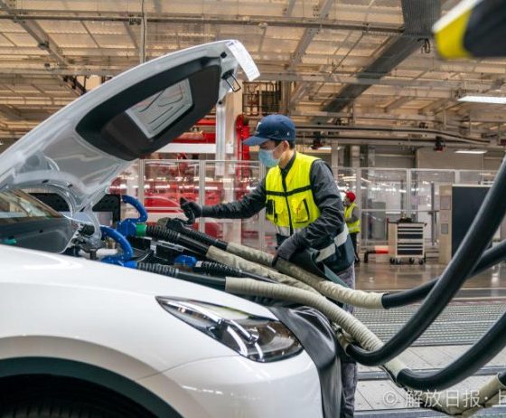 tesla china quality assessment