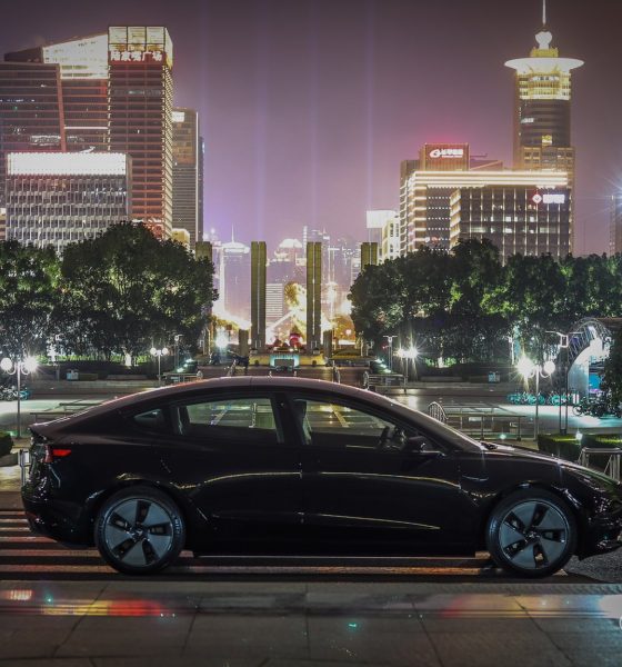 tesla-china
