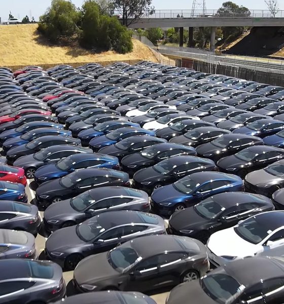 tesla