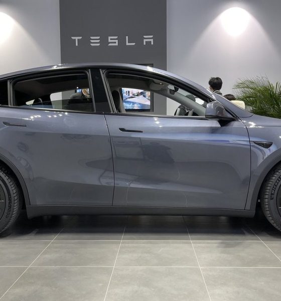 tesla model y china