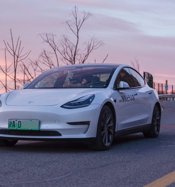 tesla-model-3-china-1