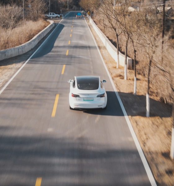 tesla model 3 china