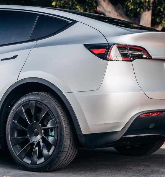 tesla-model-y-logo-rear