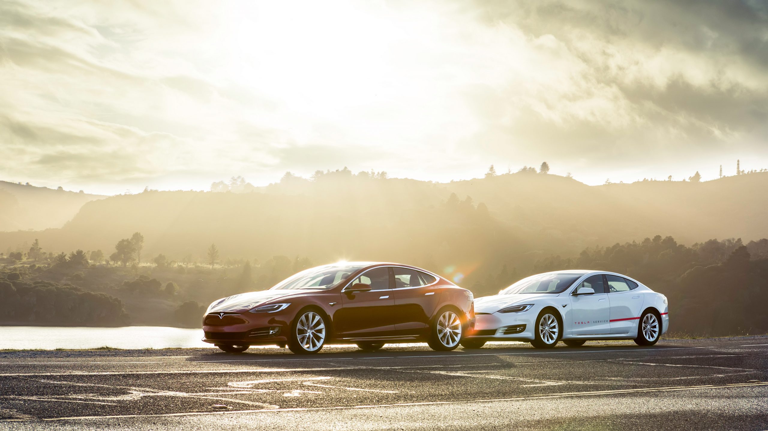 Tesla pidió puntos por su mejora: la comunidad EV proporcionó