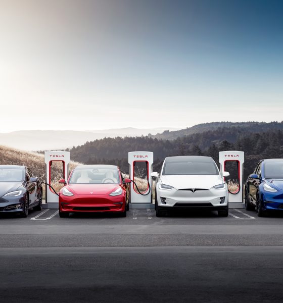 tesla s3xy