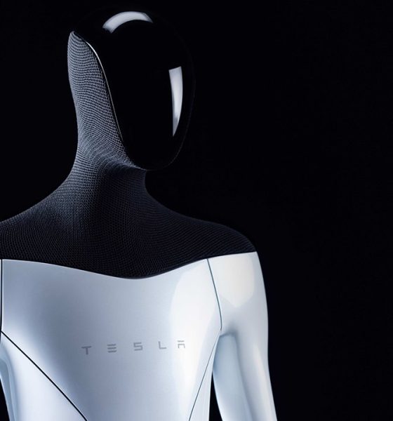 tesla-bot-profile