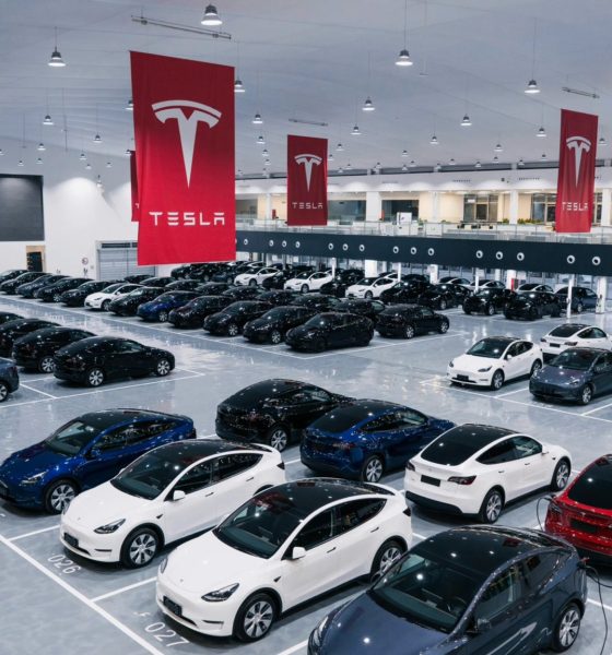 tesla-china-delivery-center