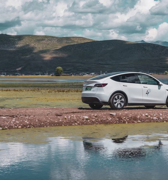 tesla-china-model-y