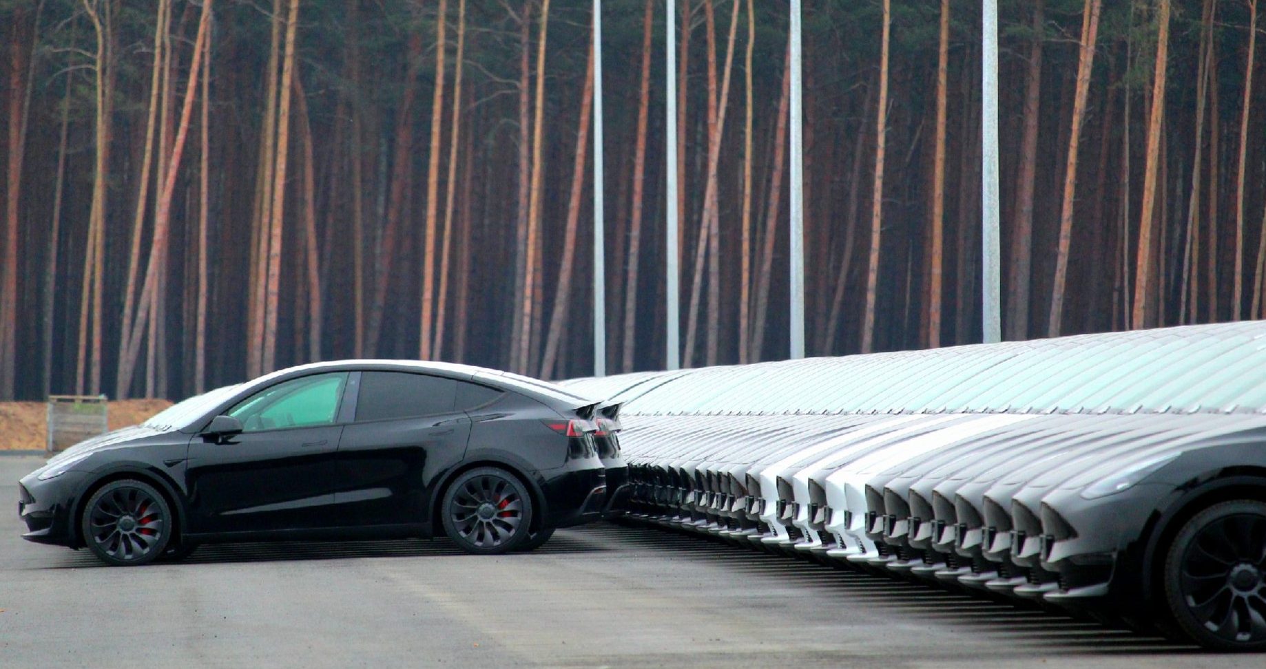 Tesla Model Y Schmutzfänger in Bonn - Bad Godesberg