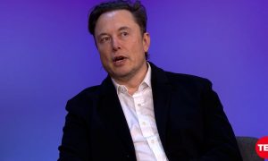 elon musk speaking